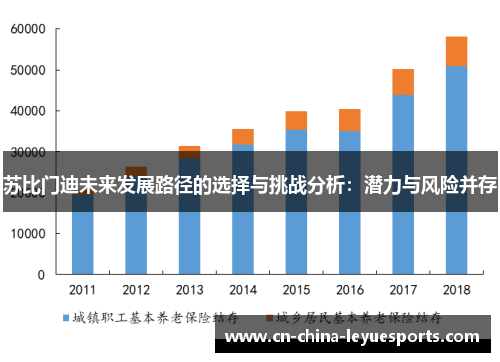 苏比门迪未来发展路径的选择与挑战分析:潜力与风险并存 苏比门迪未来发展路径的选择与挑战分析:潜力与风险并存