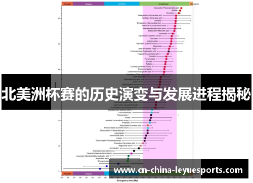 北美洲杯赛的历史演变与发展进程揭秘 北美洲杯赛的历史演变与发展进程揭秘