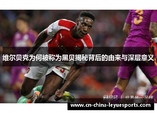 维尔贝克为何被称为黑贝揭秘背后的由来与深层意义