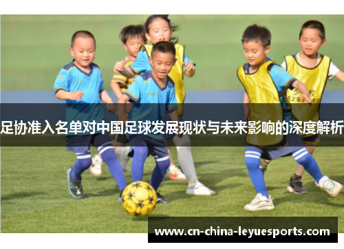 足协准入名单对中国足球发展现状与未来影响的深度解析