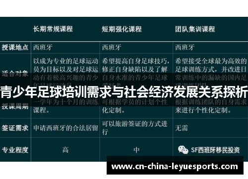 青少年足球培训需求与社会经济发展关系探析