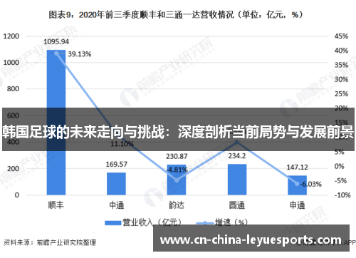 韩国足球的未来走向与挑战：深度剖析当前局势与发展前景